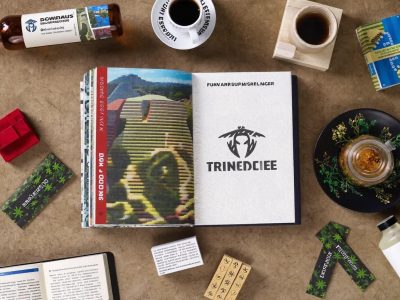 Как выжить в Майнкрафте: Джава‑издание — пошаговый план